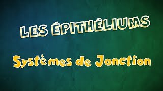 Le Tissu épithélial Épithéliums  Systèmes de Jonction [upl. by Anhcar]