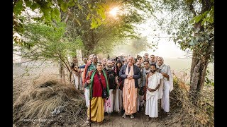 The Desire Trees of Vrindavan  Varsana is the sacred home of Srimati Radharani [upl. by Hellman]