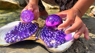 Uncovering the Mystery of River Clams The Story of a Girl Collecting Purple Pearl [upl. by Kristopher]