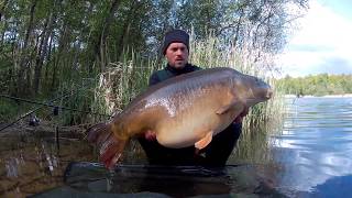 Etang de la lande souvenirs davril 2017  carpe  carpe koï  esturgeons [upl. by Beshore917]