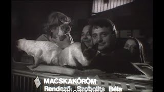 Macskaköröm – Szobolits Béla díjnyertes filmje 1981 [upl. by Garrard21]