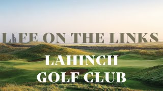 Life On The Links  Lahinch Golf Club [upl. by Acirehs]