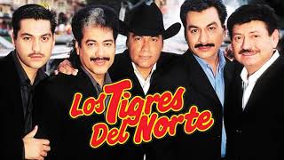 LOS TIGRES DEL NORTE  MIX PARA ADOLORIDOS [upl. by Mrots127]