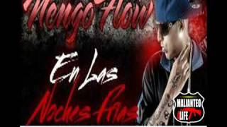 Ñengo Flow Nova y Jory  En las Noches Frias Remix Estreno 2011 [upl. by Ruel]