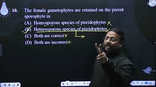 The female gametophytes are retained on the parent sporophyte in [upl. by Hillier]