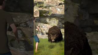 How To Escape A Grizzly Bear Attack 😨  Melon Playground bear [upl. by Jovi]