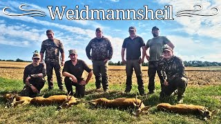 Blattjagd in der Vorbrunft amp Pirschen auf reifen Erntebock in der Blattzeit waldvierteljagd [upl. by Fording]