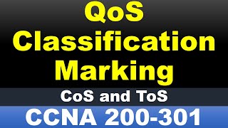 Lesson 100  QoS  Classification and Marking [upl. by Ahsasal]