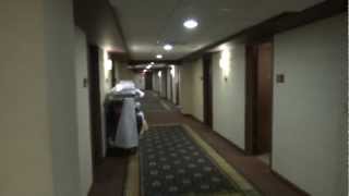 Dover Traction Scenic elevators  Galt House Hotel Suite Tower Louisville KY [upl. by Donnie791]