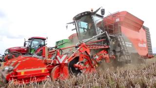 Dewulf Kwatro  4row selfpropelled sieving harvester [upl. by Getraer]