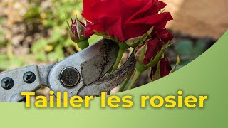 Comment tailler les rosiers [upl. by Frydman]