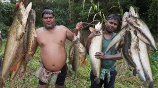 Our Village Unique Style Fishing  75kg Giant Wallago Attu River Boal Fish Catching [upl. by Kilam806]