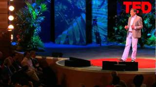 Mark Pagel How language transformed humanity [upl. by Georgianne]