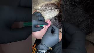 CONCH PIERCING undergroundbodypiercing [upl. by Annovahs]