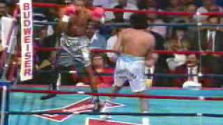 Roy jones vs Jorge Locomotora Castro [upl. by Rupert]