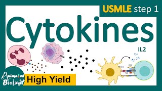 Cytokines  subclasses of cytokines  functions of cytokines  USMLE step 1 [upl. by Yrrap]