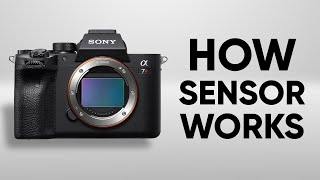 How Camera Sensor Works  Camera Sensor Explained [upl. by Janetta]