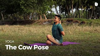 Learn the Cowpose  Gomukhasana  Yoga [upl. by Tavie]