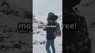 MindBlowing Facts Hyperthymesia MosquitoFree Iceland amp CockroachFree Antarctica [upl. by Ecidnak733]