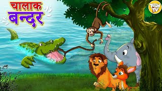 चालाक बंदर l Hindi Kahaniya  Hindi Moral Stories  Hindi Cartoon l Toon Tv Hindi Stories [upl. by Aivalf]