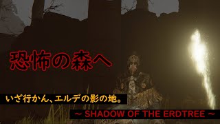 【ELDEN RING DLC】恐怖の森へ。 11 [upl. by Acitel]