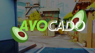 Avocado Toast🥑Valorant montage [upl. by Elocon819]