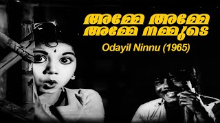 Amme Amme Amme Nammude  Odayil Ninnu 1965  Devarajan  Vayalar Ramavarma  Renuka  Malayalam Song [upl. by Eitsirc]