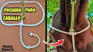 Pechera PARA CABALLO NONORANCH 👌 [upl. by Araas]