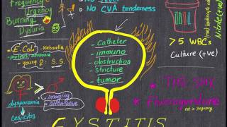 Cystitis Review in 4 minutes All you need to know [upl. by Ruscio]