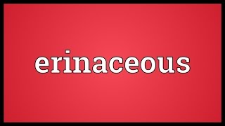 Erinaceous Meaning [upl. by Hermione]