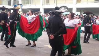 Jarabe Tapatío baile mexicano [upl. by Zacek]