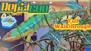 Repticon Tampa 2024 Huge Reptileshow [upl. by Druci]