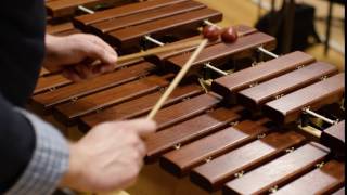 What does a xylophone sound like Scale [upl. by Elmo]