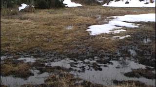 Randonnées dans les Pyrénées  Documentaire nature [upl. by Eelegna]