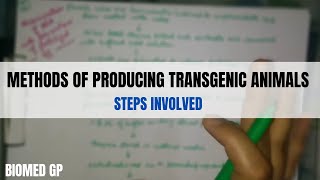 Methods of producing transgenic animals [upl. by Seldun]