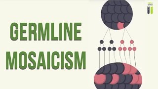 Mosaicisms  Part 1  Germline Mosaicism [upl. by Nnaacissej71]