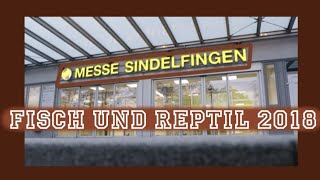 FISCH und REPTIL 2018 amp PALUDARIUM WORKSHOP VLOG [upl. by Sonia404]