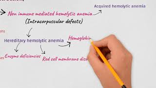 Anemia ClassificationEtiologicalMorphologicalHemolytic [upl. by Colet]