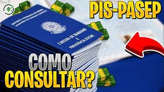 Como consultar o PIS e o PASEP [upl. by Nylinnej534]