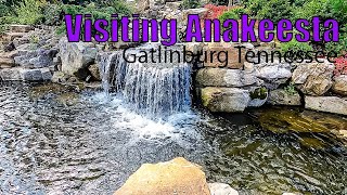 Visting Anakeesta in Gatlinburg Tennessee [upl. by Aihsenak]