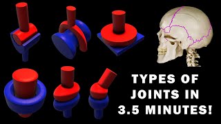 JOINT ANATOMY in 35 MINUTES [upl. by Elok]