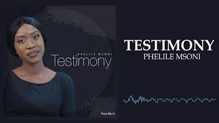 Phelile Msoni  Testimony Audio Visualizer [upl. by Kordula962]