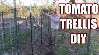 DIY Heavy duty tomato and cucumber trellis [upl. by Nylissej]