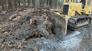 Clearing land with a dozer [upl. by Autrey724]