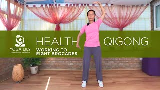 Working to Eight Brocades  Health Qigong [upl. by Lyrahc]