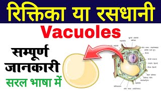 Vacuoles structure and function  rasdhani in biology  riktika in bio Vacuole  रसधानी या रिक्तिका [upl. by Manville]