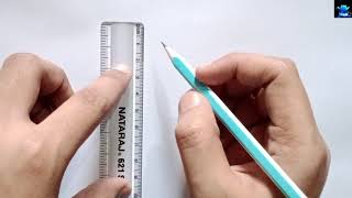 How to draw labelled diagram of tracheids step by step for beginners [upl. by Pollux]