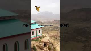 Life of Eritrea part 4 [upl. by Anivek]