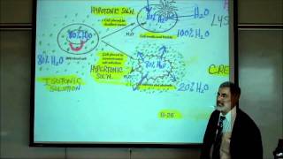 DIFFUSION OSMOSIS amp ACTIVE XPORT ACROSS CELL MEMBRANES by Professor Fink [upl. by Anawal732]