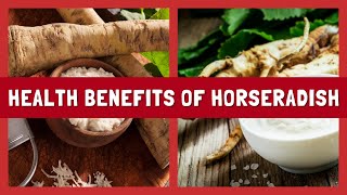 9 HEALTH BENEFITS OF HORSERADISH YOU’LL LOVE [upl. by Rashida]